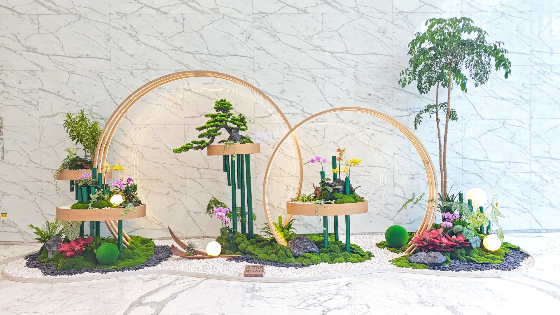 余姚实惠花木租摆，打造性价比超高的绿植环境！